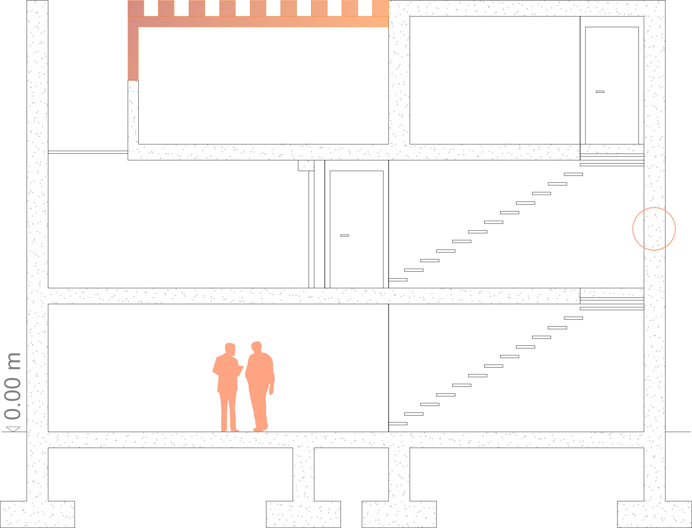 section